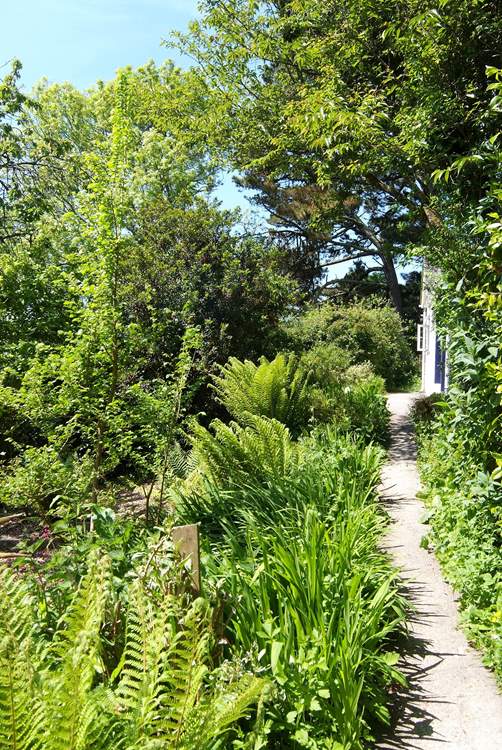 The path leads through the garden to the front door.