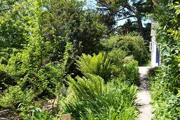 The path leads through the garden to the front door.