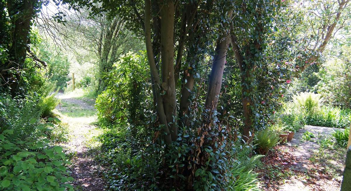 The path leading from the cottage to the parking-area.