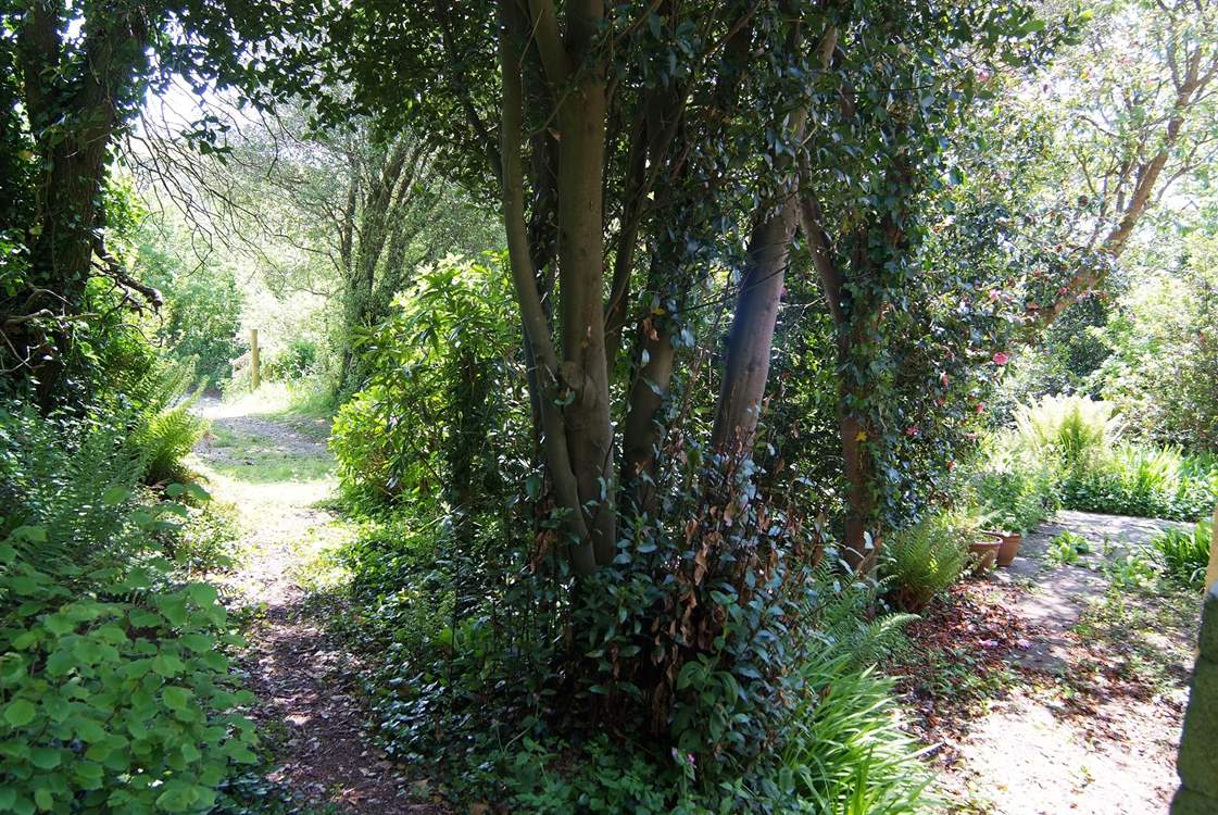 The path leading from the cottage to the parking-area.