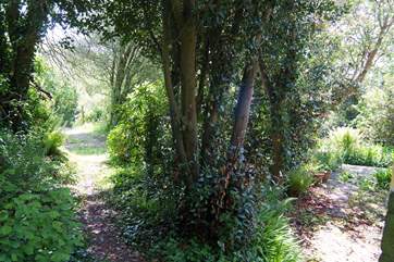 The path leading from the cottage to the parking-area.