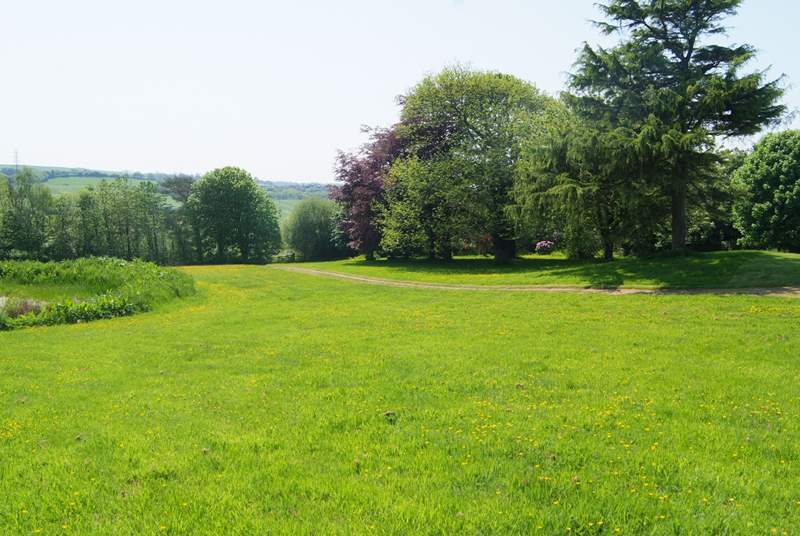 This is the view looking down the meadow towards the entrance gate. There is a deep pond to the left of this image - the reason for the child age restriction.