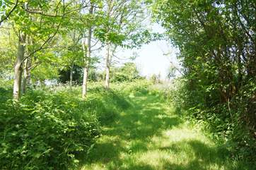 Guests can also stroll and picnic in the magical woodland here, with mown paths, open meadow and wonderful valley views.