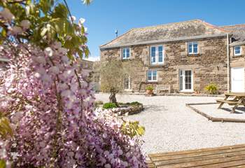 Welcome to Wallis Barn!