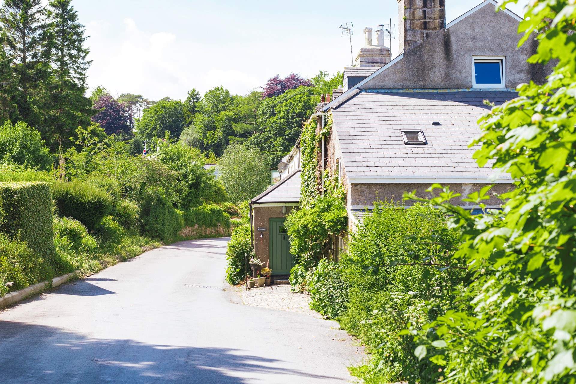 Looking down the lane to the cottage. The friendly owner lives next door.