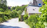 Looking down the lane to the cottage. The friendly owner lives next door. - Thumbnail Image