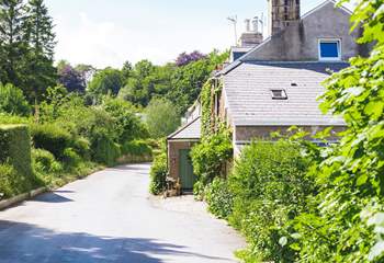 Looking down the lane to the cottage. The friendly owner lives next door.