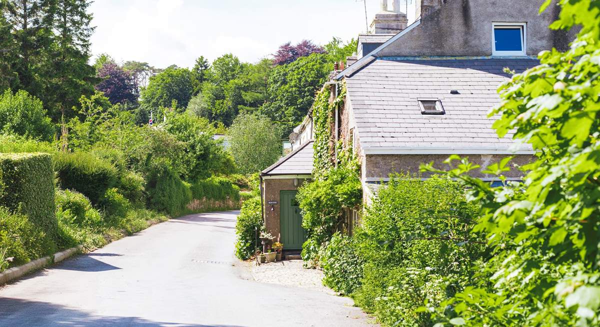 Looking down the lane to the cottage. The friendly owner lives next door.