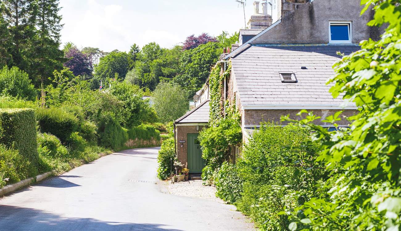 Looking down the lane to the cottage. The friendly owner lives next door.