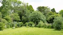 You are welcome to use this part of the owner's garden which leads to a beech wood, especially useful if your four-legged friend needs to stretch their legs! The garden is accessed via 5 steps.