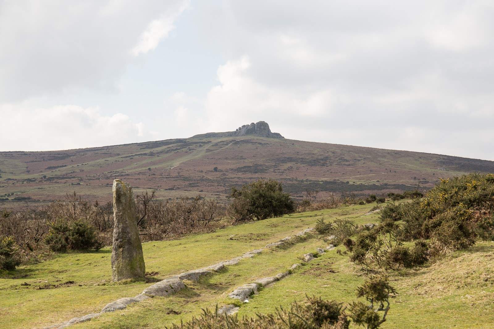 The stunning landscape of Dartmoor with Haytor in the distance.