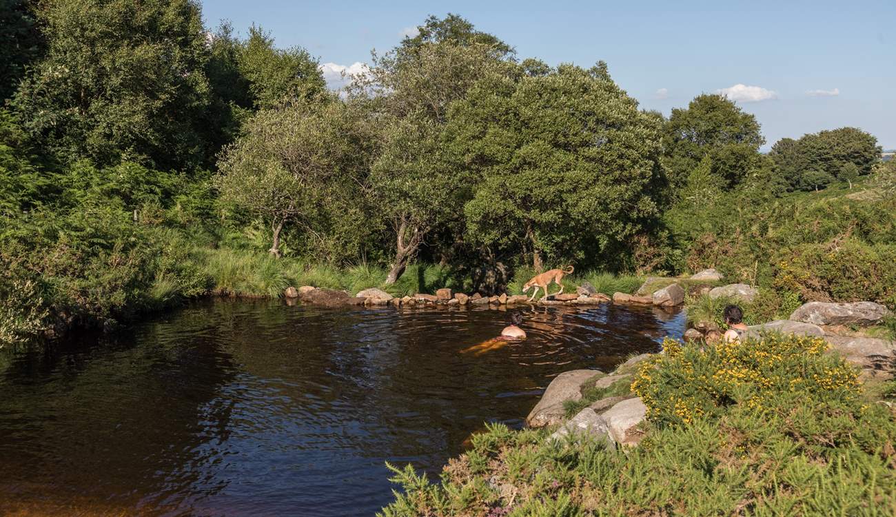 If wild swimming is your thing, there's plenty of places to discover on your doorstep.