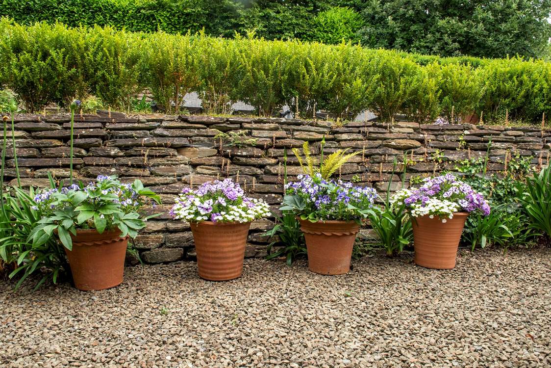 The pots are dressed to perfection