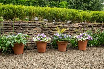 The pots are dressed to perfection