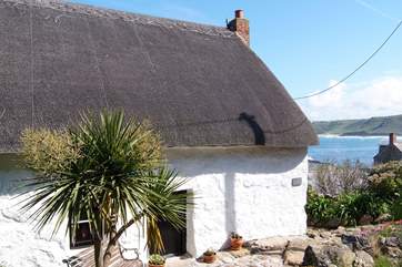 Little Cottage.