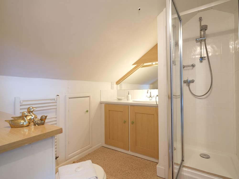 The en suite shower-room.