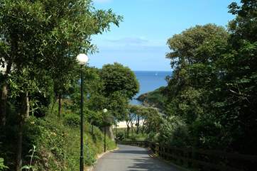 Looking down the driveway from the Maenporth Estate towards the beach below.