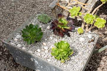 The beautifully kept courtyard has some lovely plants.