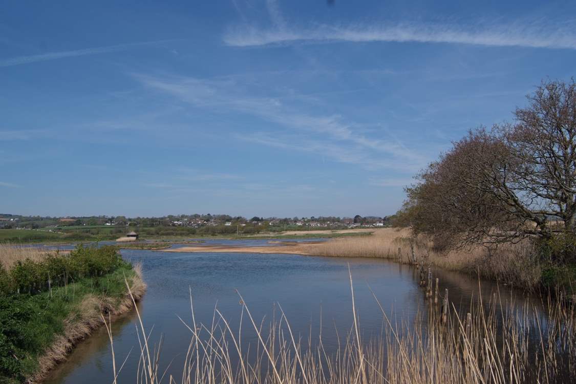 Another newly created visitor attraction is the Seaton Wetlands - a peaceful nature reserve which attracts many species of birds.