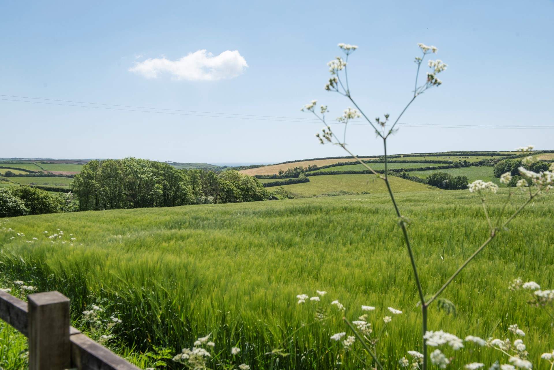 You are surrounded by beautiful countryside and the sea can be seen in the distance.
