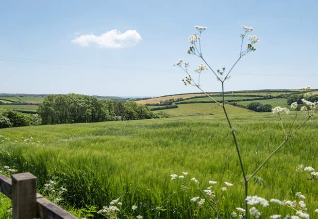 You are surrounded by beautiful countryside and the sea can be seen in the distance.