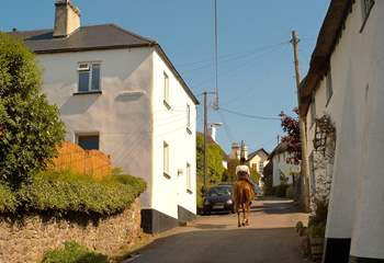 Ferienhaus in Dawlish