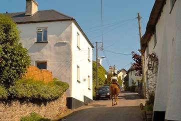 The Old Post Office is the end of terrace cottage on the left of the picture with the garden above the village road.