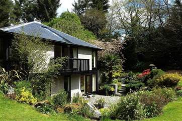 The lower patio in spring.