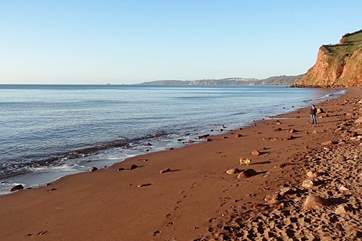 Ness beach is accessed through the tunnel in Shaldon to the other side of the headland (Ness Head).