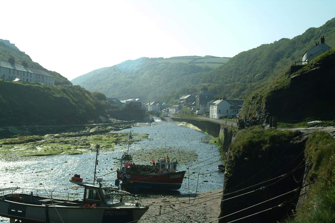 Looking back towards Boscastle on a misty morning in summer.