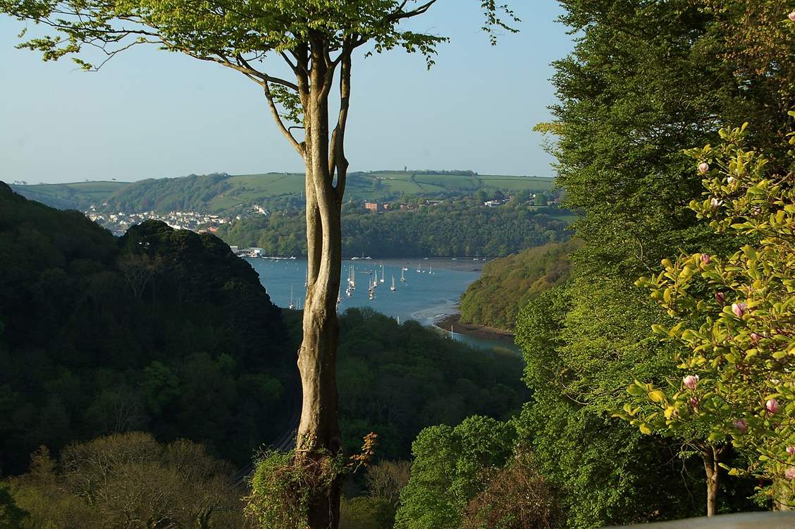 The wonderful view from the master bedroom window.