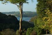 The wonderful view from the master bedroom window.