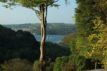 The wonderful view from the master bedroom window.