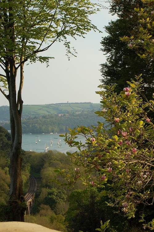 The Dart Steam Railway wanders through the valley below the cottage.