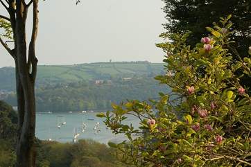 The Dart Steam Railway wanders through the valley below the cottage.