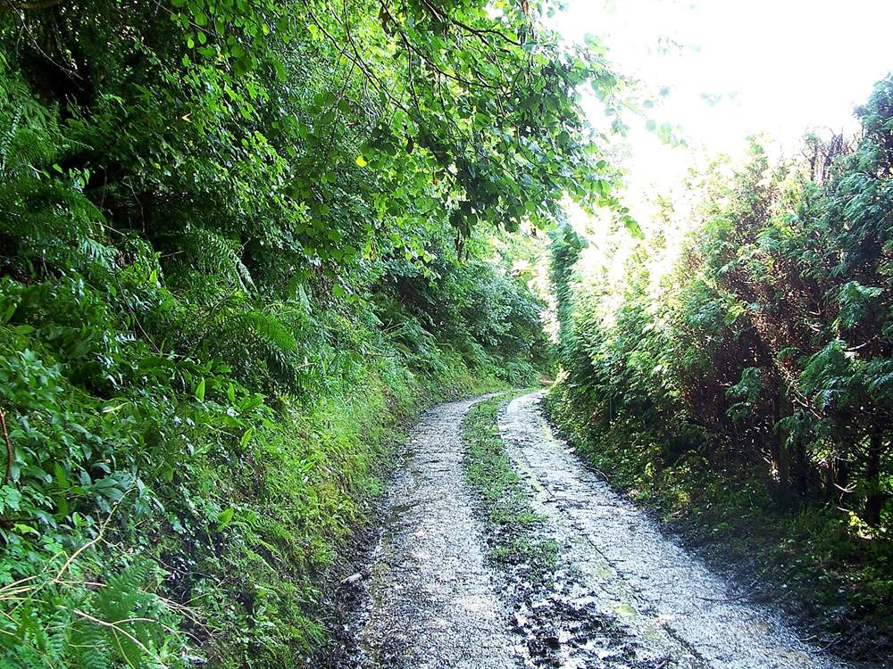 There is a short unmade track from the main road up to the cottage. There is an ancient drover's track off it - a great first walk to find out about your surroundings.