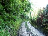 There is a short unmade track from the main road up to the cottage. There is an ancient drover's track off it - a great first walk to find out about your surroundings.