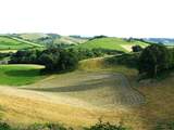 The countryside around Barbridge is stunning, ancient hillsides and wonderful views.