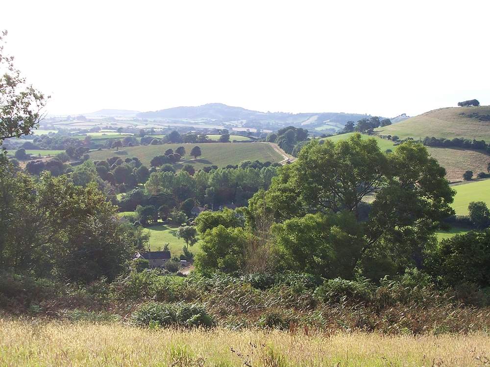 This is the view from the hilltop above Barbridge - a lovely place to walk to and just sit and relax.