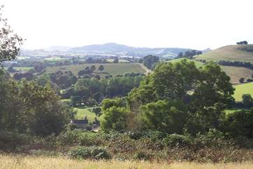 This is the view from the hilltop above Barbridge - a lovely place to walk to and just sit and relax.