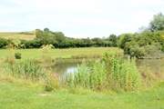 You will be welcome to explore the farm -  just ask the owners - and to watch the wildlife using the lake. Please take care and supervise children at all times.