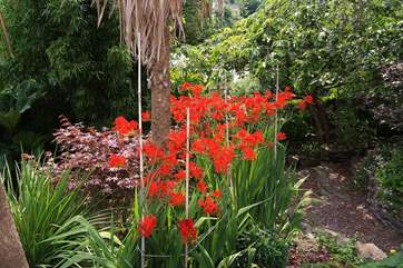In the summer the garden is semi-tropical.