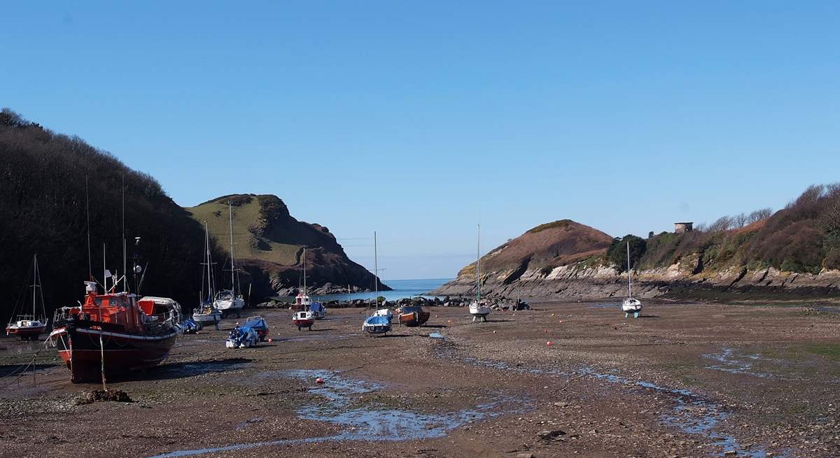 Pretty Watermouth Harbour is just a half mile walk - uphill on the way back!