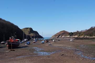 Pretty Watermouth Harbour is just a half mile walk - uphill on the way back!