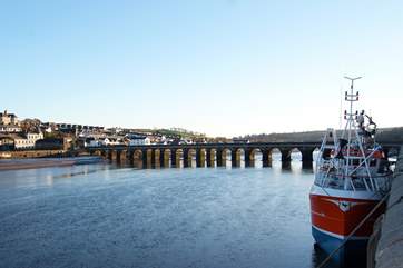 From Bideford Quay you can catch the passenger ferry to Lundy Island.