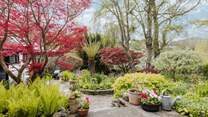 The fully enclosed garden is magical, with a hidden seat around a corner by the brook, as well as the patio outside the cottage.