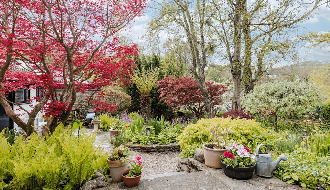 The fully enclosed garden is magical, with a hidden seat around a corner by the brook, as well as the patio outside the cottage.
