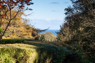 You can see the sea from the foot-path leading up to Tintin Cottage.