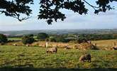 A view from the field near the cottage, with the sea at Porthleven visible to the right in the distance, and Goonhilly to the left. - Thumbnail Image