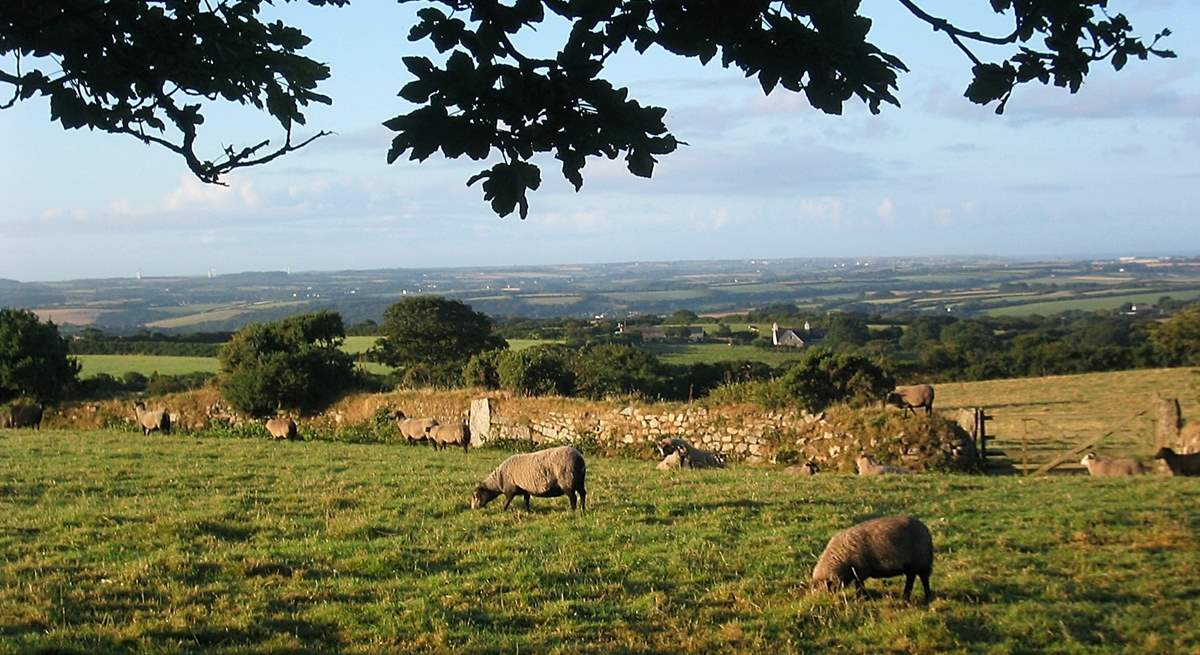 A view from the field near the cottage, with the sea at Porthleven visible to the right in the distance, and Goonhilly to the left.